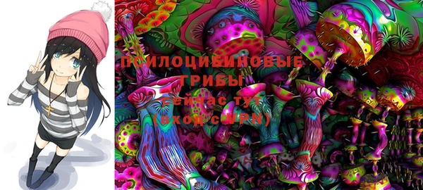 мяу мяу мука Гусев
