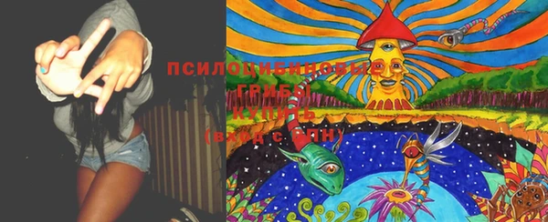 мяу мяу мука Гусев