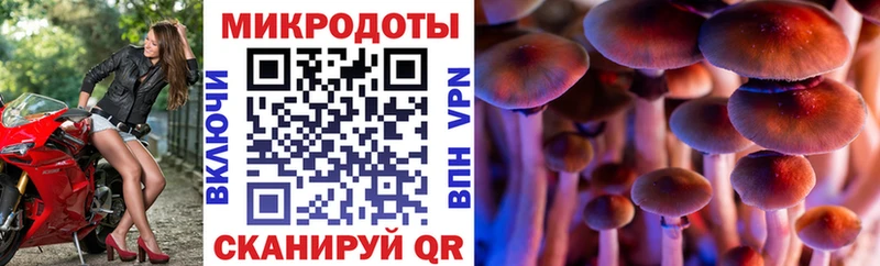 где купить наркоту  Пласт  Галлюциногенные грибы мухоморы 